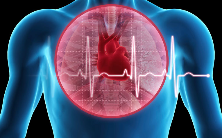 بیماری عروق کرونرقلب – کلینیک قلب دکتر ضربان
